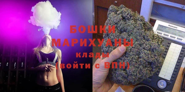 Альфа ПВП Белокуриха